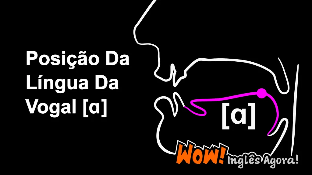 A Posição Relativa Da Língua Na Boca Ao Produzir a Vogal [a].