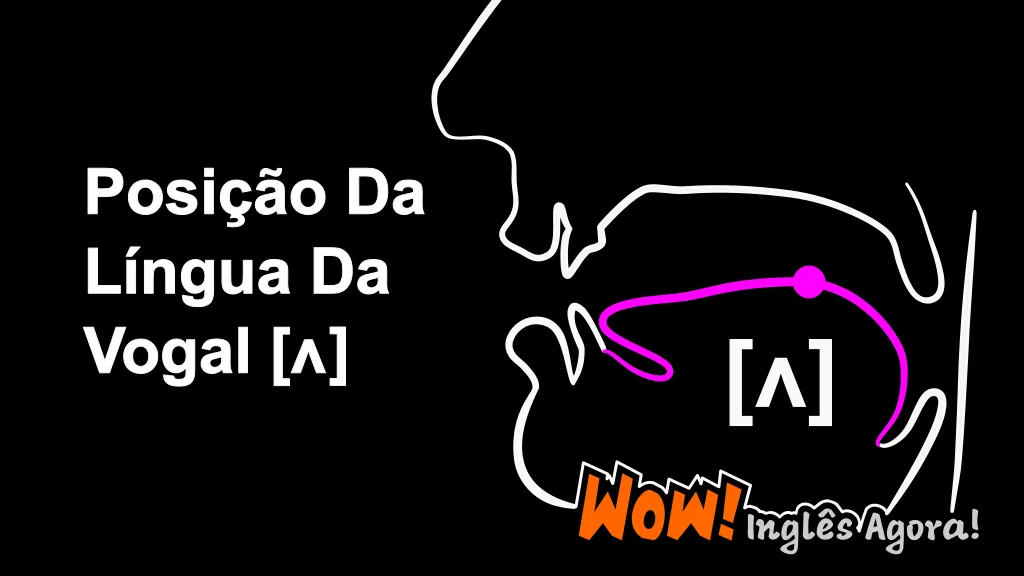 A Posição Relativa Da Língua Na Boca Ao Produzir O Fonema [ʌ].